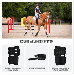 Garmin Blaze designed for horses