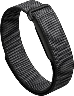 Google Fitbit Air in Obsidian