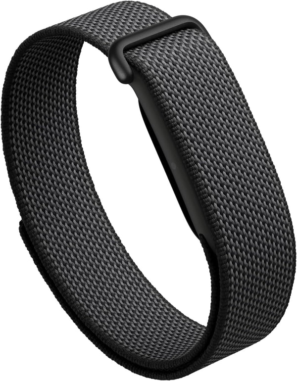 Google Fitbit Air in Obsidian