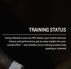 Garmin Heart Rate Monitors Garmin Forerunner 965 Premium GPS Running and Triathlon Smartwatch