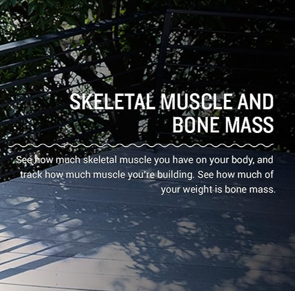 https://www.heartratemonitorsusa.com/cdn/shop/files/garmin-scales-garmin-index-s2-smart-scale-measures-fat-muscle-bone-mass-33330508628141.jpg?v=1696945184&width=1000