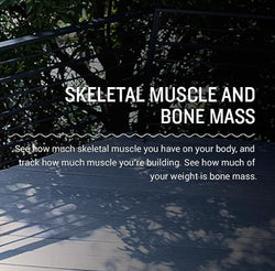 https://www.heartratemonitorsusa.com/cdn/shop/files/garmin-scales-garmin-index-s2-smart-scale-measures-fat-muscle-bone-mass-33330508628141.jpg?v=1696945184&width=250