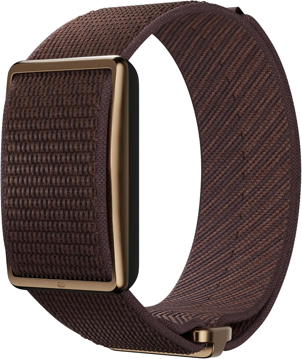 Polar Loop in brown